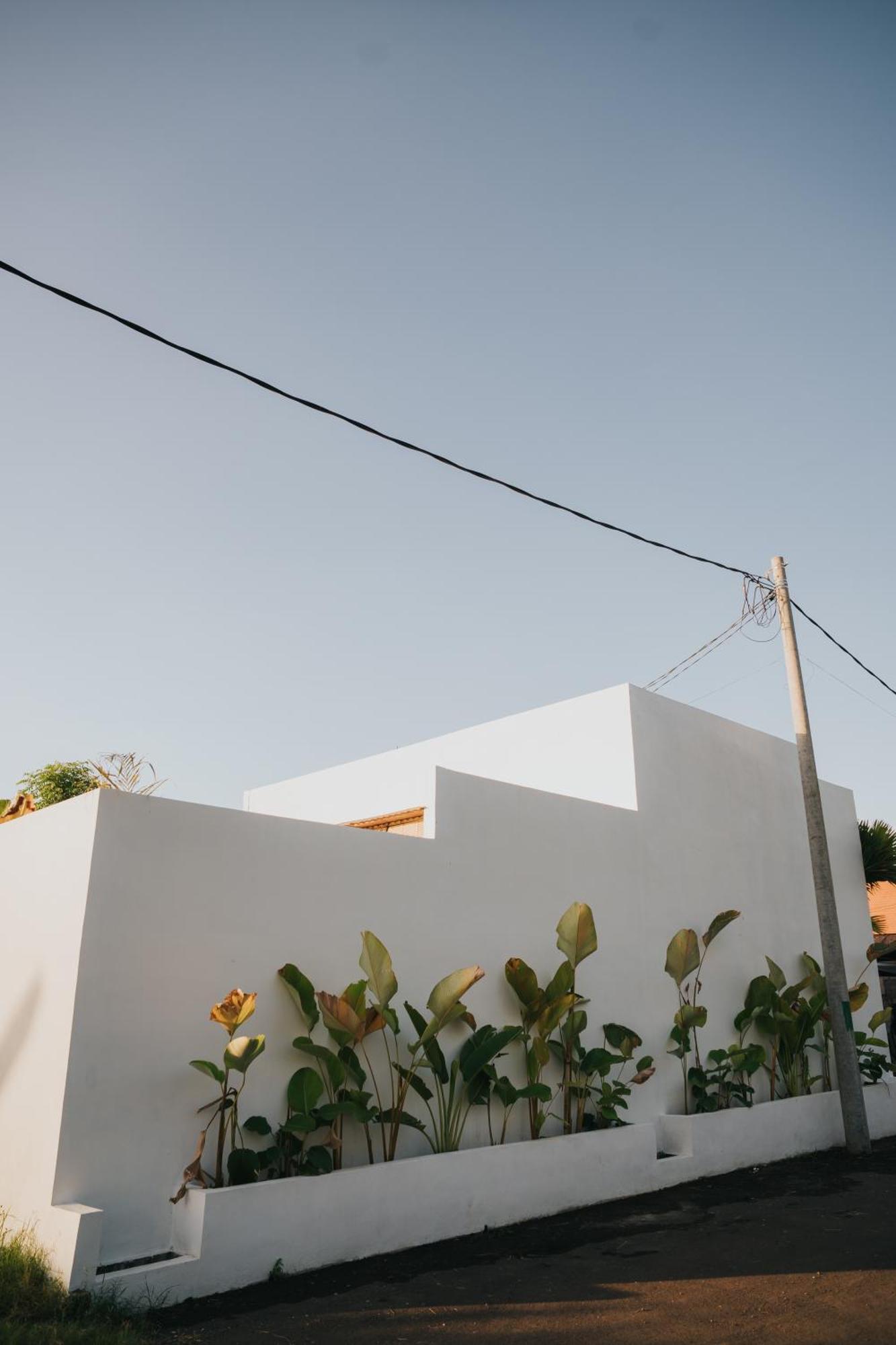 Brandon Villa Lovina With Private Pool Экстерьер фото